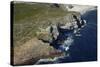 Aerial of Cape of Good Hope, Cape Peninsula, Cape Town, South Africa-David Wall-Stretched Canvas