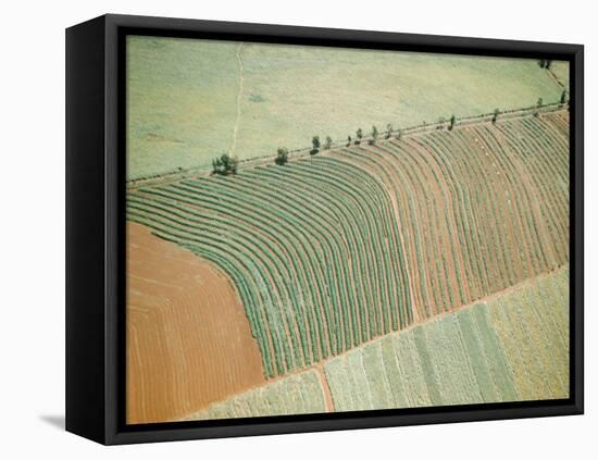 Aerial of Cultivated Farmland in Brazil-Dmitri Kessel-Framed Stretched Canvas