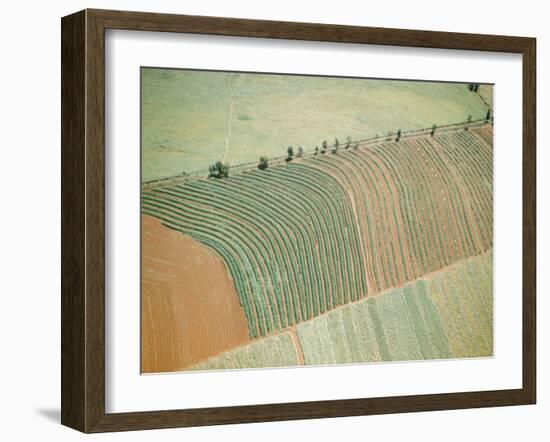 Aerial of Cultivated Farmland in Brazil-Dmitri Kessel-Framed Photographic Print