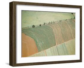 Aerial of Cultivated Farmland in Brazil-Dmitri Kessel-Framed Photographic Print