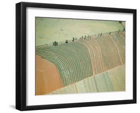 Aerial of Cultivated Farmland in Brazil-Dmitri Kessel-Framed Photographic Print