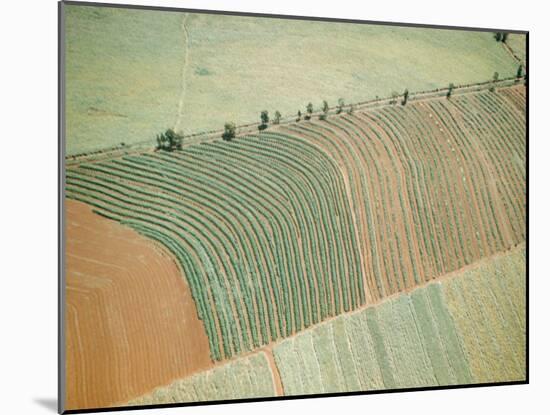 Aerial of Cultivated Farmland in Brazil-Dmitri Kessel-Mounted Photographic Print