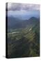 Aerial of Dominica, West Indies, Caribbean, Central America-Michael Runkel-Stretched Canvas