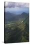 Aerial of Dominica, West Indies, Caribbean, Central America-Michael Runkel-Stretched Canvas