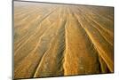 Wood Mount