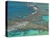 Aerial of Hanauma Bay Reef Snorkelers Near Oahu, Hawaii-Bill Bachmann-Stretched Canvas