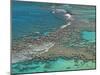 Aerial of Hanauma Bay Reef Snorkelers Near Oahu, Hawaii-Bill Bachmann-Mounted Photographic Print