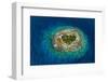 Aerial of little islet filled with birds in the lagoon of Fakarava, Tuamotu archipelago-Michael Runkel-Framed Photographic Print