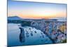 Aerial of Marina di Corricella at Sunset, Procida, Flegrean Islands, Campania, Italy, Europe-Neil Farrin-Mounted Photographic Print