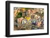 Aerial of Marina di Corricella, Procida, Flegrean Islands, Campania, Italy, Europe-Neil Farrin-Framed Photographic Print