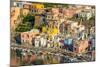 Aerial of Marina di Corricella, Procida, Flegrean Islands, Campania, Italy, Europe-Neil Farrin-Mounted Photographic Print