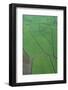 Aerial of Maui, Hawaii, United States of America, Pacific-Michael Runkel-Framed Photographic Print