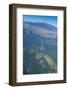 Aerial of Mauna Kea, Big Island, Hawaii, United States of America, Pacific-Michael Runkel-Framed Photographic Print