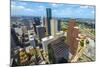 Aerial of Modern Buildings in Downtown Houston-Jorg Hackemann-Mounted Photographic Print