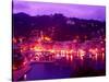 Aerial of Mountain Overlooking Portofino, Italy-Bill Bachmann-Stretched Canvas