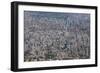 Aerial of Sao Paulo, Brazil, South America-Michael Runkel-Framed Photographic Print