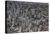 Aerial of Sao Paulo, Brazil, South America-Michael Runkel-Stretched Canvas