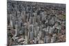 Aerial of Sao Paulo, Brazil, South America-Michael Runkel-Mounted Photographic Print