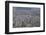 Aerial of Sao Paulo, Brazil, South America-Michael Runkel-Framed Photographic Print