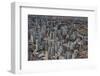 Aerial of Sao Paulo, Brazil, South America-Michael Runkel-Framed Photographic Print