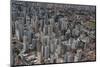 Aerial of Sao Paulo, Brazil, South America-Michael Runkel-Mounted Photographic Print