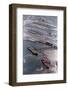 Aerial of Ships Docked in Port of Valdez-null-Framed Photographic Print