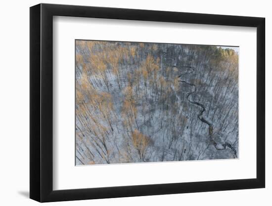 Aerial of snowy trees, Marion County, Illinois.-Richard & Susan Day-Framed Photographic Print