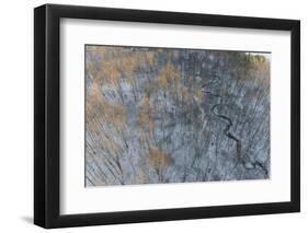 Aerial of snowy trees, Marion County, Illinois.-Richard & Susan Day-Framed Photographic Print