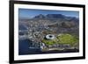 Aerial of Stadium, Golf Club, Table Mountain, Cape Town, South Africa-David Wall-Framed Photographic Print