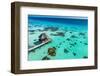 Aerial of sundeck over the lagoon of Fakarava, Tuamotu archipelago, French Polynesia-Michael Runkel-Framed Photographic Print