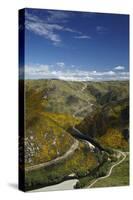 Aerial of Taieri River and Taieri Gorge, South Island, New Zealand-David Wall-Stretched Canvas