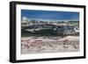 Aerial of the Airport of Guam, Us Territory, Central Pacific, Pacific-Michael Runkel-Framed Photographic Print