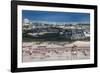 Aerial of the Airport of Guam, Us Territory, Central Pacific, Pacific-Michael Runkel-Framed Photographic Print