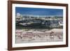 Aerial of the Airport of Guam, Us Territory, Central Pacific, Pacific-Michael Runkel-Framed Photographic Print