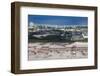 Aerial of the Airport of Guam, Us Territory, Central Pacific, Pacific-Michael Runkel-Framed Photographic Print