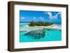 Aerial of the Blue Lagoon, Rangiroa atoll, Tuamotus, French Polynesia-Michael Runkel-Framed Photographic Print