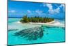 Aerial of the Blue Lagoon, Rangiroa atoll, Tuamotus, French Polynesia-Michael Runkel-Mounted Photographic Print