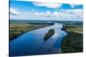 Aerial of the Casiquiare River in the deep south of Venezuela-Michael Runkel-Stretched Canvas