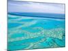 Aerial of the Great Barrier Reef, Whitsunday Coast, Queensland, Australia-Walter Bibikow-Mounted Photographic Print