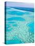 Aerial of the Great Barrier Reef, Whitsunday Coast, Queensland, Australia-Walter Bibikow-Stretched Canvas