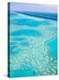 Aerial of the Great Barrier Reef, Whitsunday Coast, Queensland, Australia-Walter Bibikow-Stretched Canvas