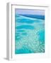 Aerial of the Great Barrier Reef, Whitsunday Coast, Queensland, Australia-Walter Bibikow-Framed Photographic Print