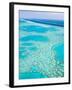 Aerial of the Great Barrier Reef, Whitsunday Coast, Queensland, Australia-Walter Bibikow-Framed Photographic Print