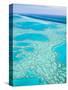 Aerial of the Great Barrier Reef, Whitsunday Coast, Queensland, Australia-Walter Bibikow-Stretched Canvas