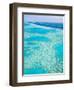 Aerial of the Great Barrier Reef, Whitsunday Coast, Queensland, Australia-Walter Bibikow-Framed Photographic Print