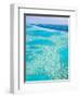 Aerial of the Great Barrier Reef, Whitsunday Coast, Queensland, Australia-Walter Bibikow-Framed Photographic Print