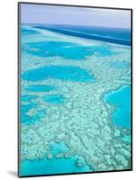 Aerial of the Great Barrier Reef, Whitsunday Coast, Queensland, Australia-Walter Bibikow-Mounted Photographic Print