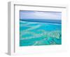 Aerial of the Great Barrier Reef, Whitsunday Coast, Queensland, Australia-Walter Bibikow-Framed Photographic Print