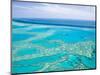 Aerial of the Great Barrier Reef, Whitsunday Coast, Queensland, Australia-Walter Bibikow-Mounted Photographic Print