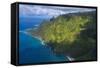 Aerial of the Napali Coast, Kauai, Hawaii, United States of America, Pacific-Michael Runkel-Framed Stretched Canvas